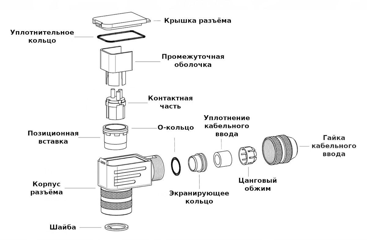 Спецификация поставки углового разъёма Binder 99-5102-75-02